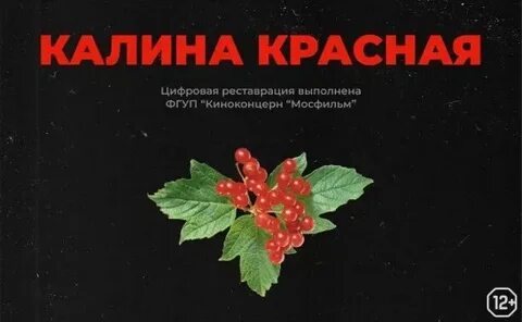 Калина красная радио программа передач на сегодня