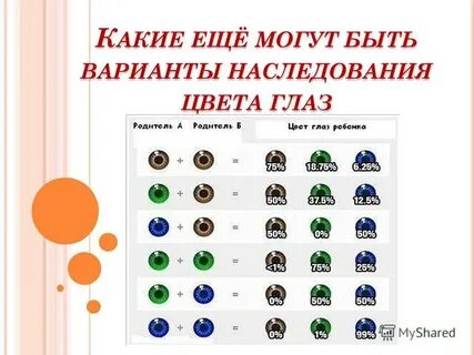 Как передается цвет глаз