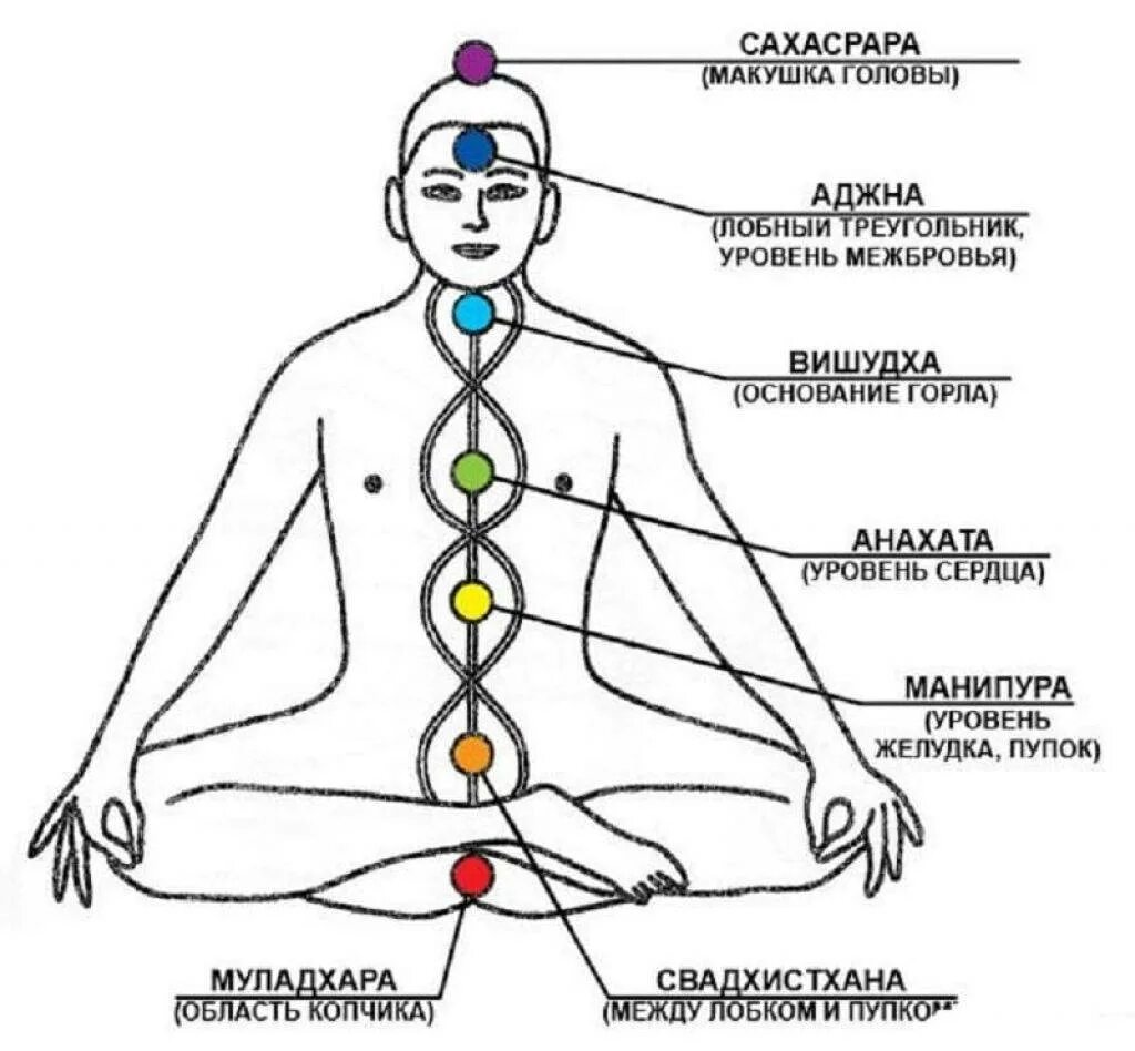 Где находятся чакры у человека. Энергетические центры человека схема расположения. Схема чакр на теле. Чакры человека в картинках с названиями. Значение темени