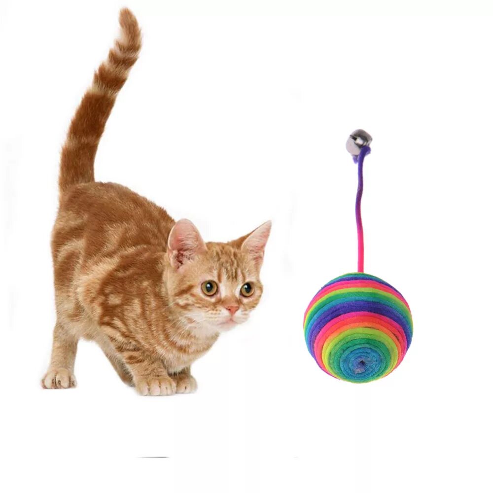 Игрушки для котят для начинающих
