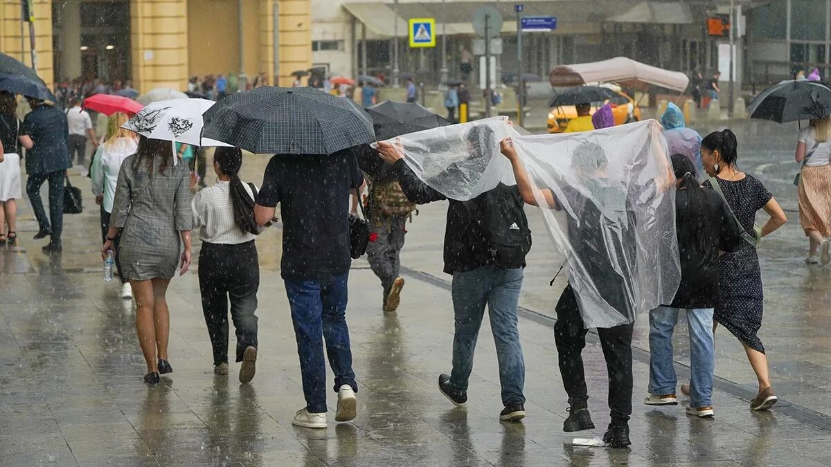 Дождливый день. Сильный дождь. Дождь в Москве. Дождик в Москве.