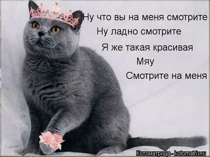 Ну посмотри на меня и