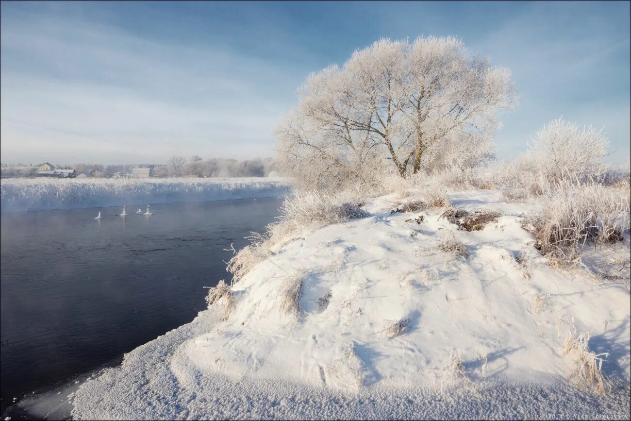 Зимно