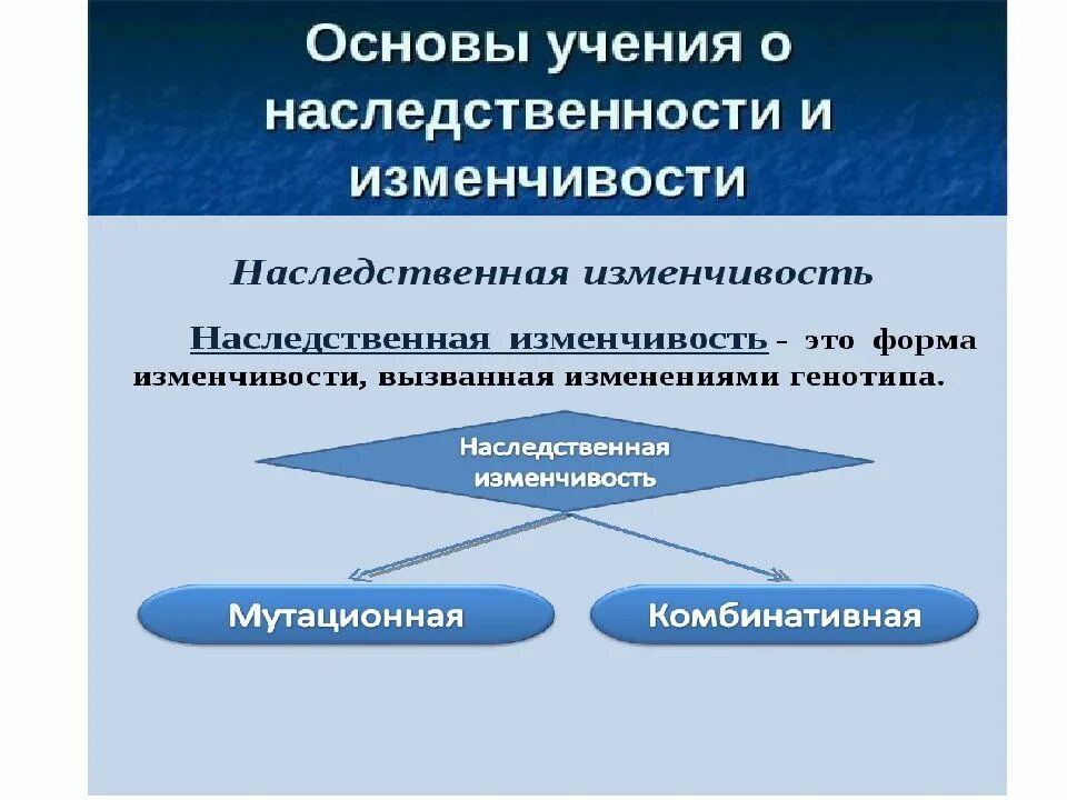 Наследственная изменчивость. Наследчивая изменчивость. Наследственная изменчивость это в биологии. Наследственная изиенч. Наследственно измененный организм