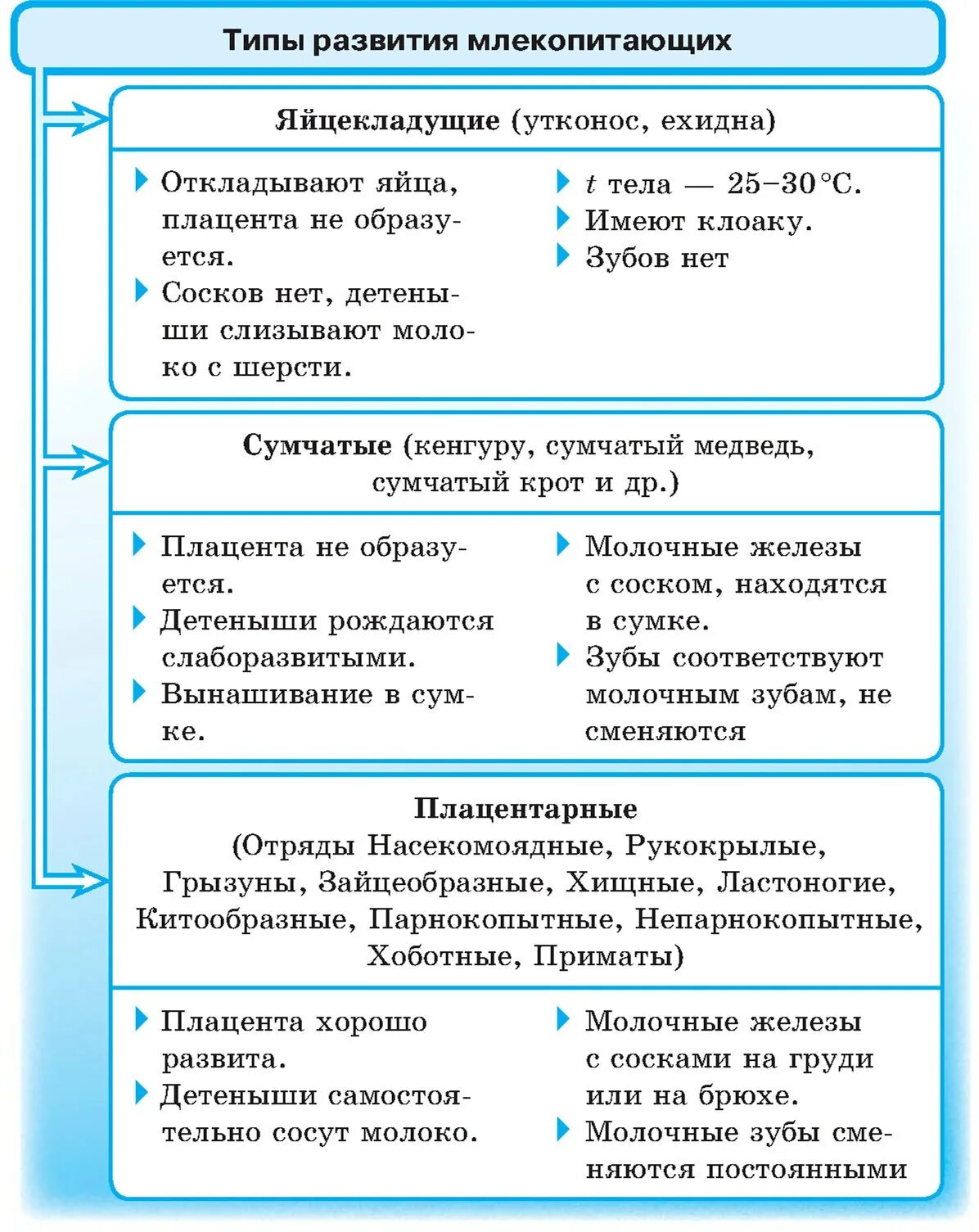 Таблица млекопитающих 8 класс Система млекопитающих таблица
