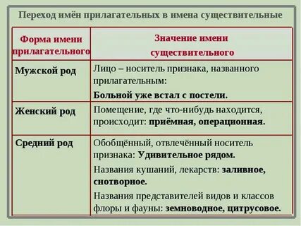 Прилагательное в роли существительного примеры
