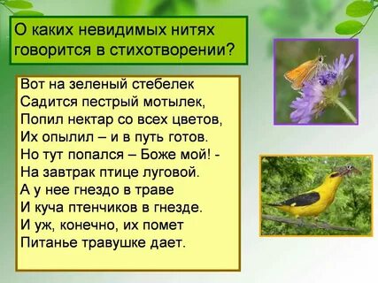 Невидимые нити тест 2 класс окружающий мир