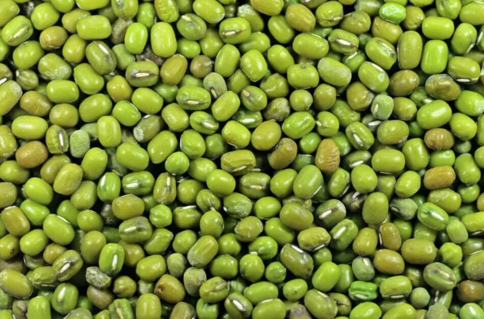 Munging s x meaning. Фасоль мунг. Разные крупы. Бобовый мунг. Чечевица мунг.