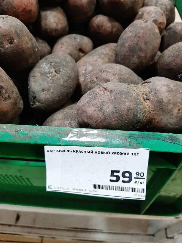 Картофель 5 рублей. Килограмм картошки. Картошка в магазина магнит. Картофель ценник. Картофель за 1 кг.