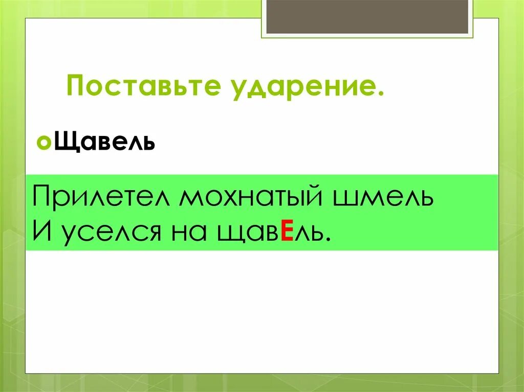 Щавель ударение. Ударение щавель ударение. Щавель ударение на какой слог. Поставь ударение щавель.