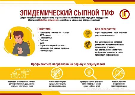 Виды сыпного тифа