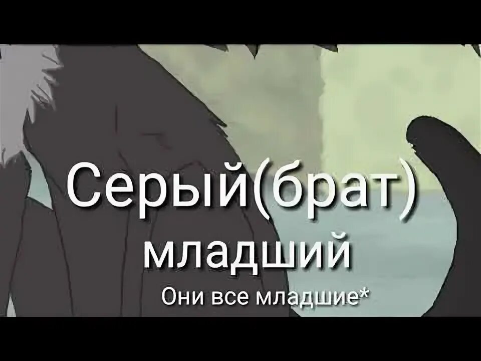 Слушать серые братья. Слушать серые братья. Слушать серые братья. Слушать серые братья. Слушать серые братья.