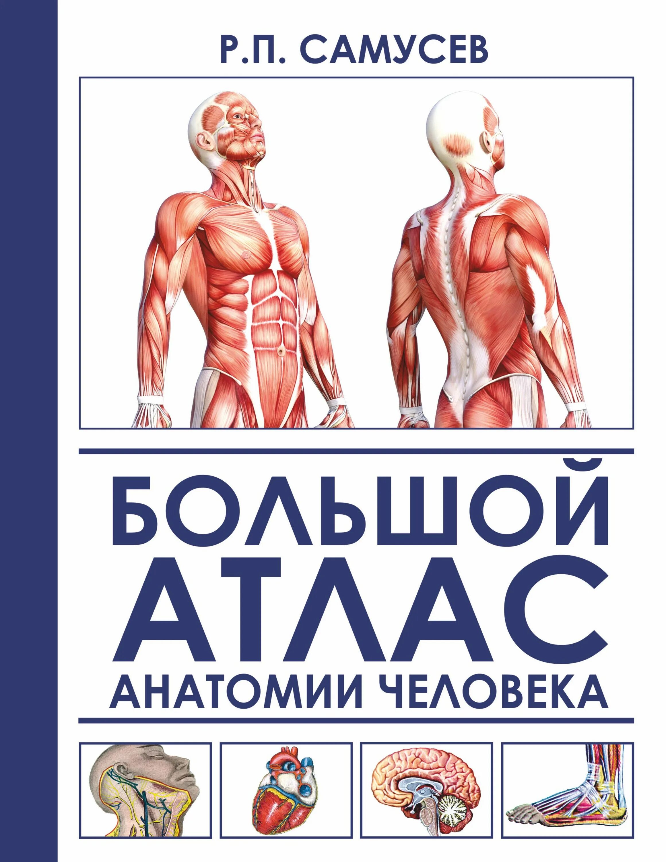 Анатомия книги атласы. Атлас анатомия человека р.п Самусев. Самусев атлас анатомии. Атлас по анатомии Самусев р.п Самусев. Большой атлас анатомии человека Самусев Агеева.