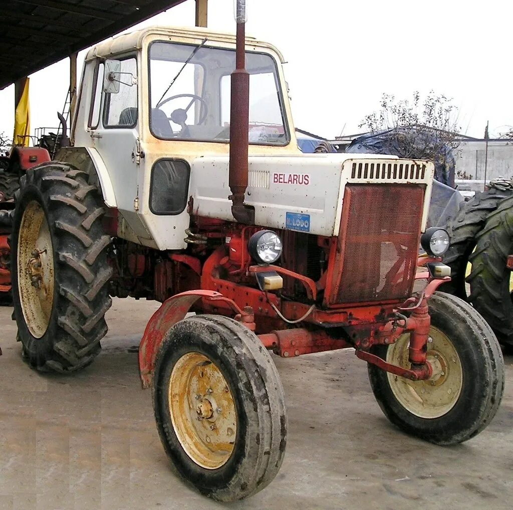 МТЗ-80 трактор. Belarus трактор MTZ 80. МТЗ-50 трактор. МТЗ 80 экспортный.