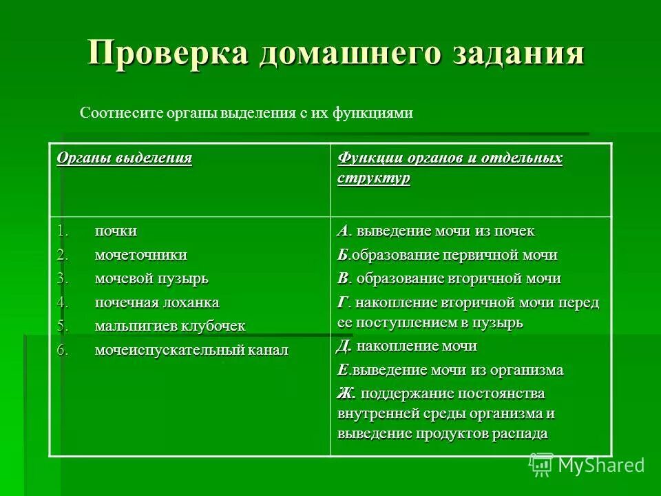 Специализация предполагает собой. Структура управления проектом. Иерархическая структура папок. Схема функциональной финансовой системы. Выделены в отдельные составы.