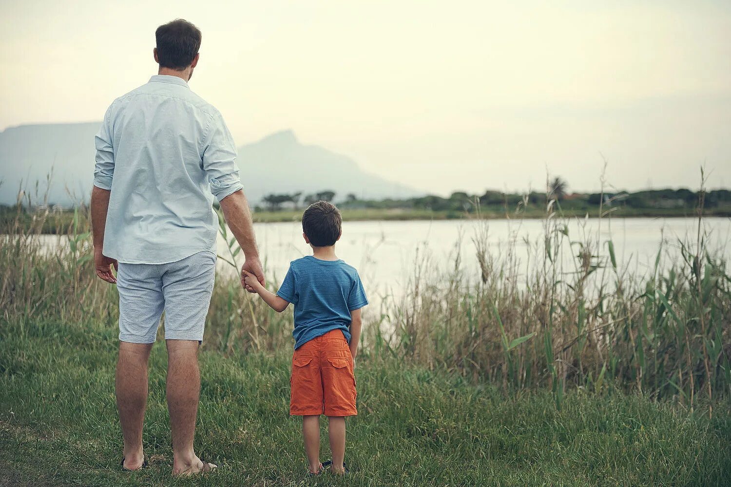 Ясный день отец и сын. Отец и сын со смыслом. Отец и сын идут по полю. Father and son back view. Мальчик на руках у папы.