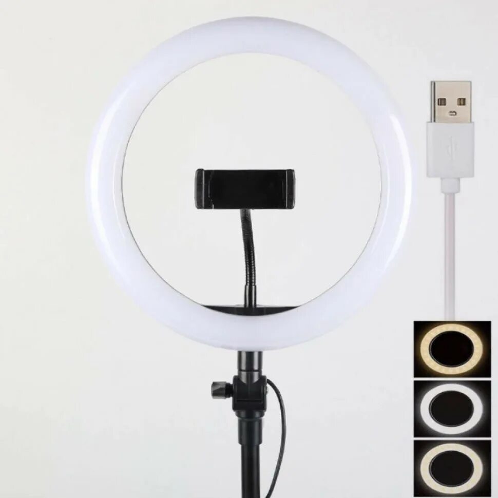 Светодиодная лампа штатив. Светодиодная Кольцевая лампа Ring fill Light 26 см. Кольцевая лампа со штативом ринг Филл Лайт. Кольцевая лампа Ring fill Light 30 см. Кольцевая лампа со штативом Ring fill Light 26 см.