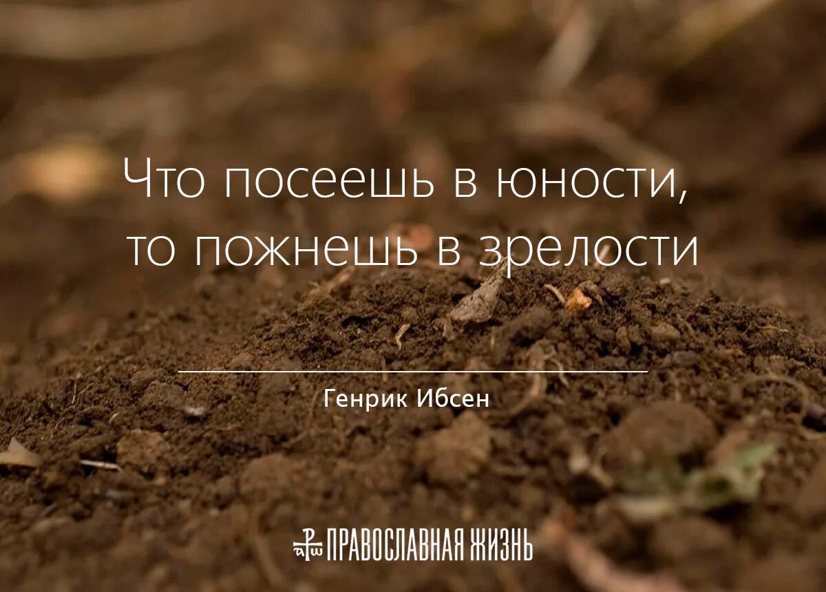 Что посеешь то. Что посеешь то и пожнешь. что посеишь то и пожнёшь. что посеешь то и пожрешь. что посеешь тот и поснешь.