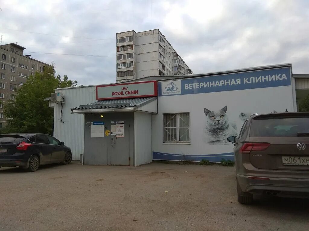 Ветклиника култаево. Ветклиника култаево. Ветклиника култаево. Большой магазин култаево строительный. М.