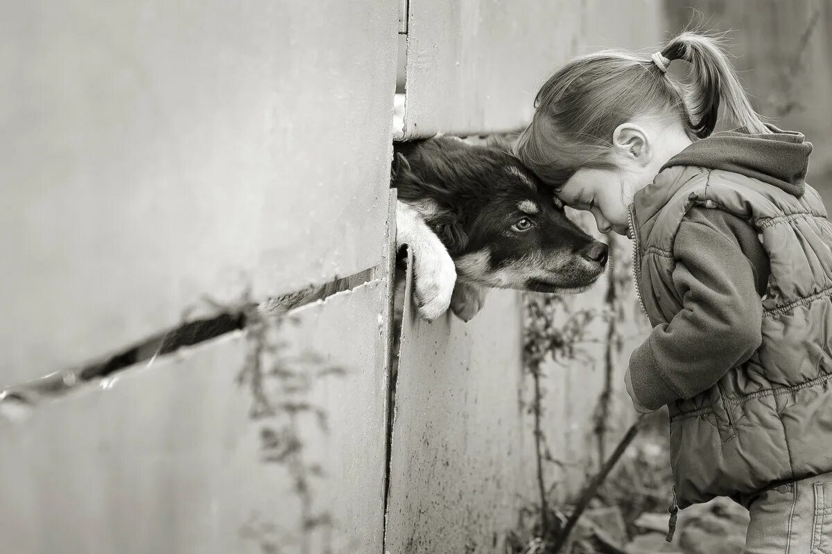 Трогательный ребенок. Трогательные фотографии. Собака для детей. Девочка с собакой.