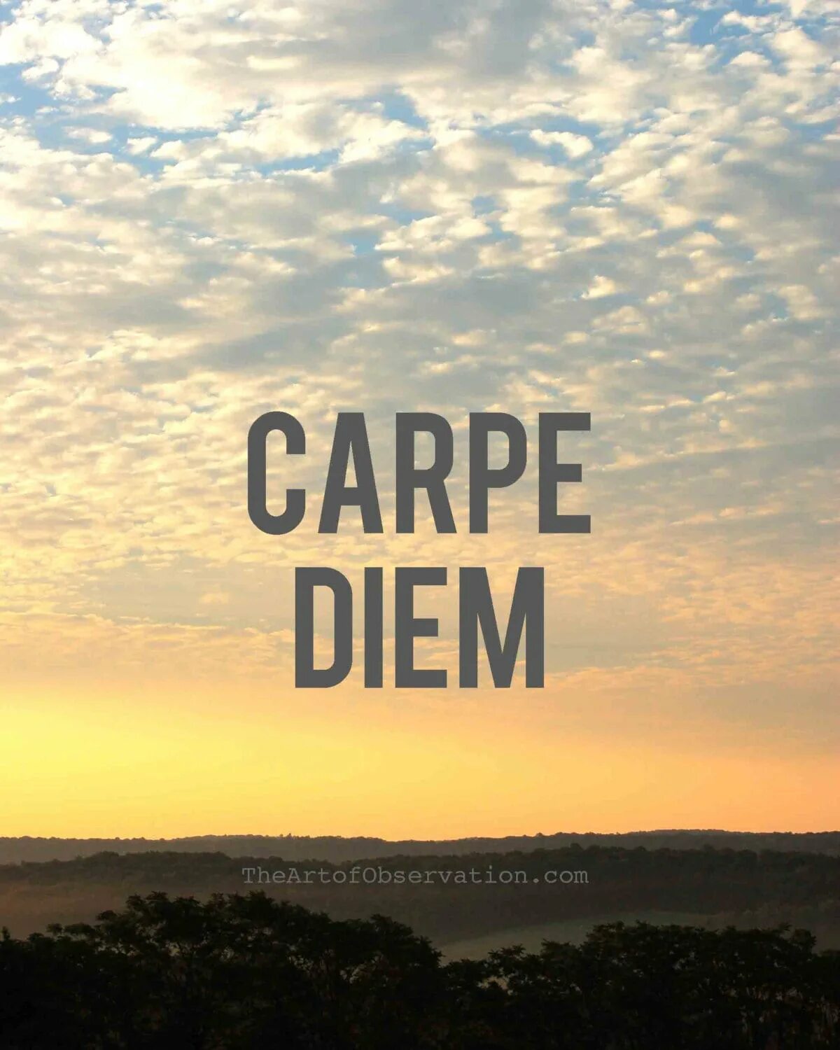 Дем перевод. Карпе Дием. Надпись Карпе Дием. Лови мгновение. Carpe Diem лови мгновение.