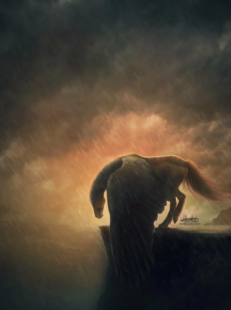 Лев лежит на горе. Львы пейзаж. Тигр на вершине горы. Тарелка лев обрыв силуэт,белый. Красивый лев.