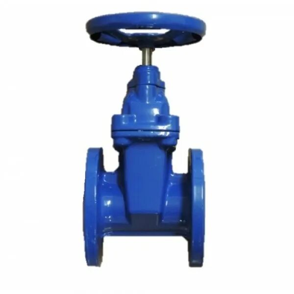 Задвижка мзвг(30ч39р) ду133. 19 30 ч. Клапан обратный 19ч16бр ду100. Задвижки чугунная 30ч 93 с обрезиненным клином 50-16. Задвижка 30ч39р мзв ду150 ру16.