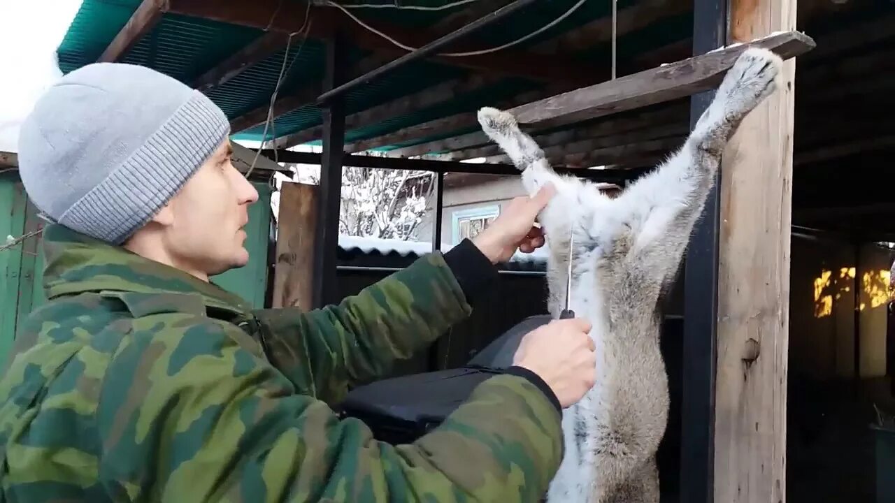 Переработка кроликов. Приспособление для забоя кроликов. Приспособление длязабря кроликов. Приспособы для забоя кроликов.