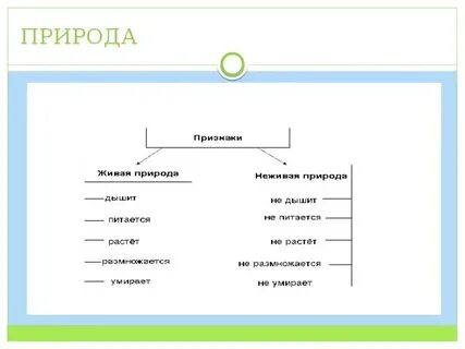 Заполни схему царства живой природы