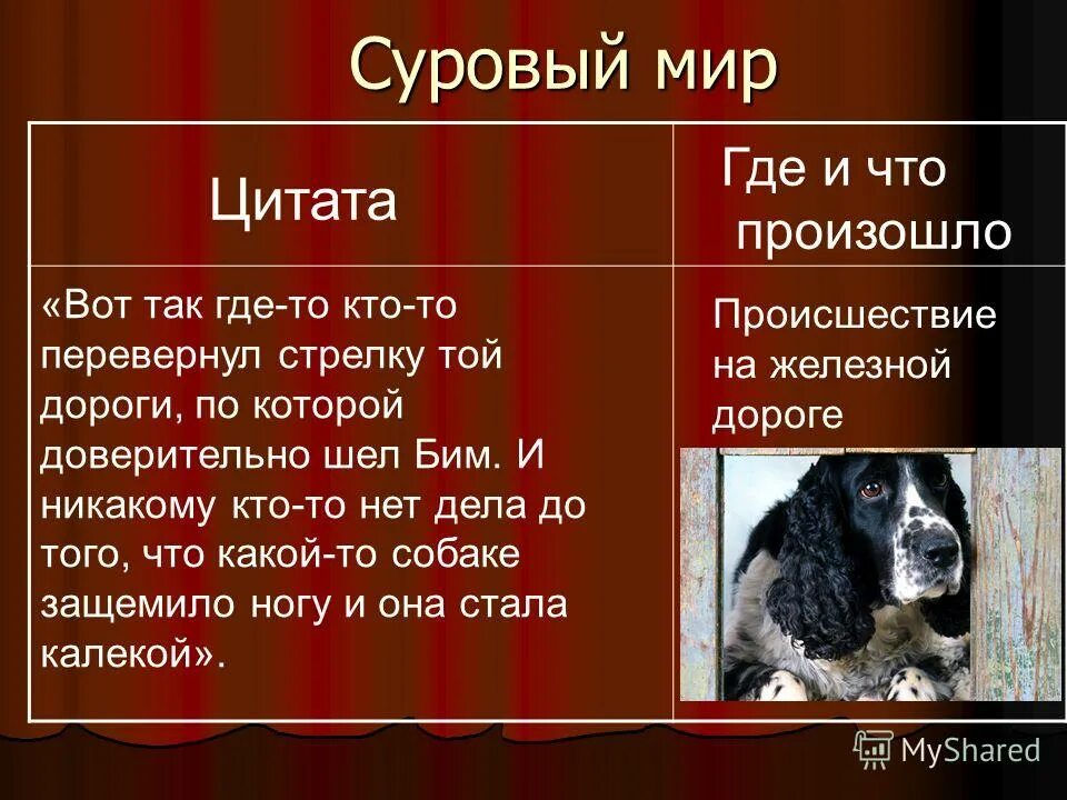 Хозяин заботился о щенке щенок бим. Белый Бим черное ухо. Бим текст про собачку.