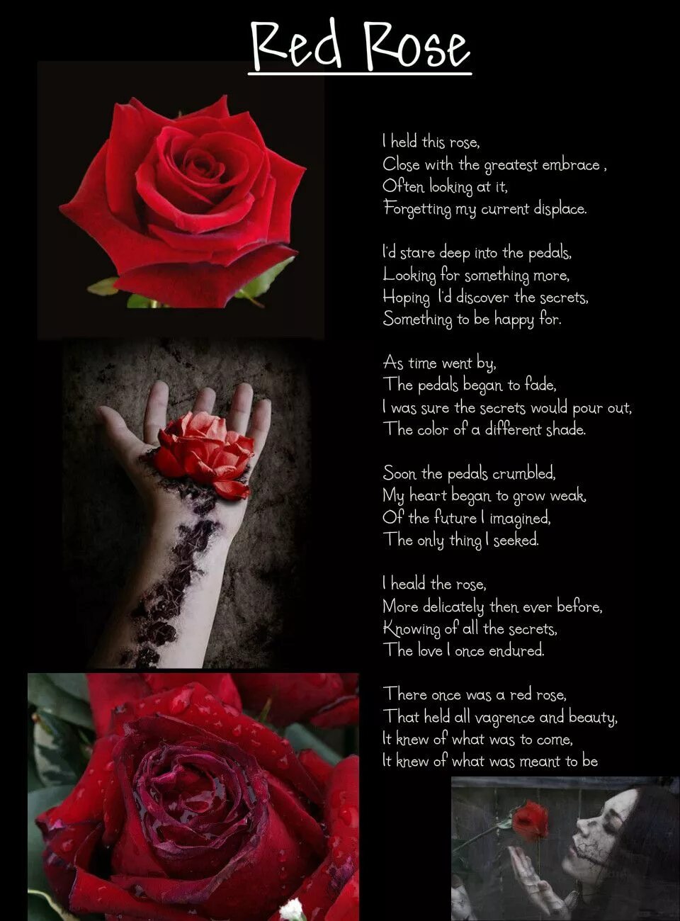 Слово rose. Red red rose robert burns текст. Стихотворение red, red, red the rose. Red rose текст. Стихотворение roses are red.