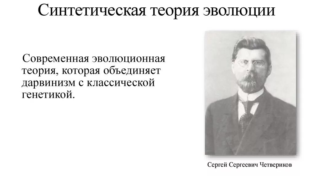 Ученые современной теории эволюции. Теория эволюции Четверикова. Четвериков синтетическая теория. Четвериков синтетическая теория эволюции.