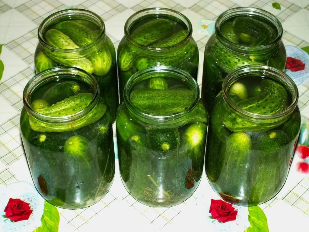 Засолка огурцов рецепт литровой банки