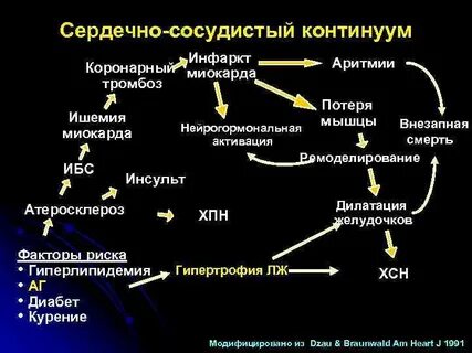 Инфаркт миокарда гипертоническая болезнь