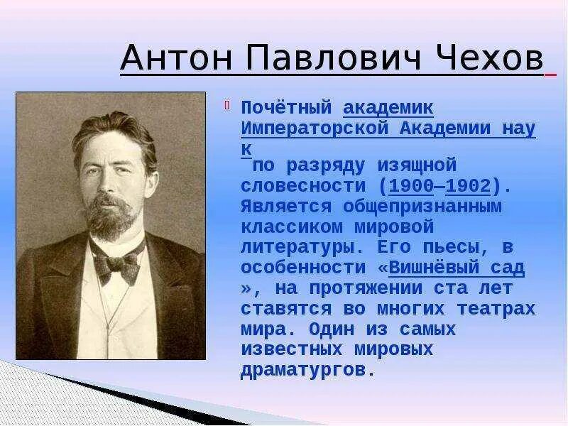 Биография ап чехова. А П Чехов проект 6 класс. Жизнь и творчество а п Чехова 5 класс.