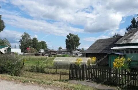 Анонимка тонкино нижегородская