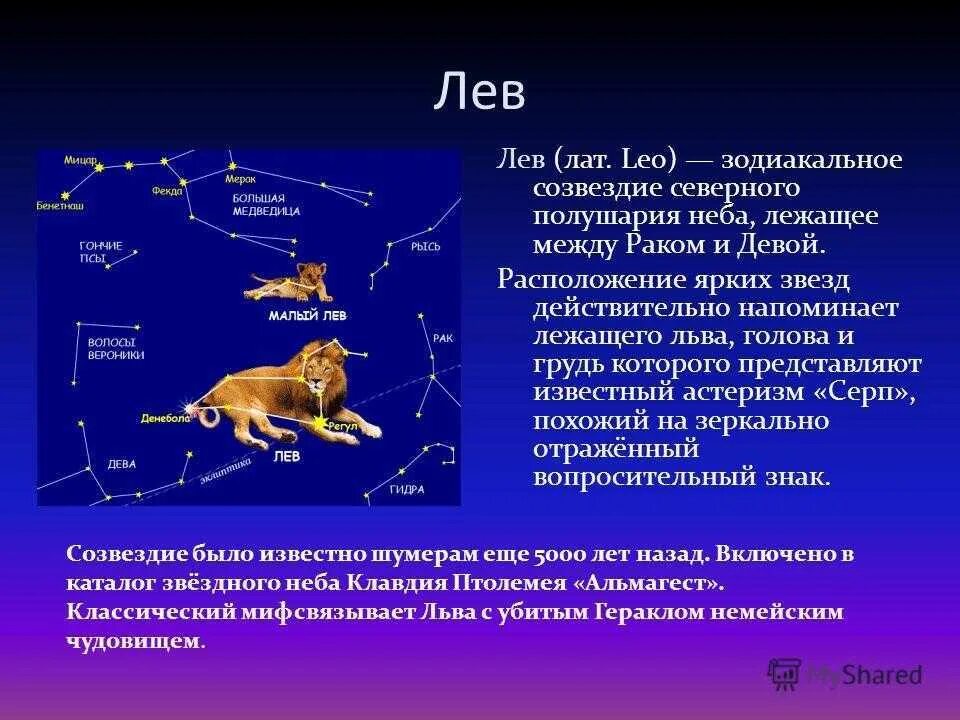 Почему созвездие лев. Созвездие Лев рассказ 2 класс. Рассказ о созвездии весеннего неба Лев. Созвездие Льва доклад. Сообщение об одном из созвездий.