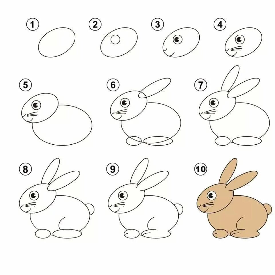 Рисование зайца. Схема рисования зайца для дошкольников. Поэтапное рисование зайца для детей. Пошаговое рисование зайца.