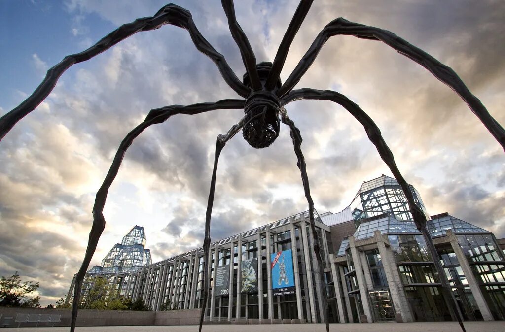 Про огромных пауков. Скульптура Луизы буржуа в Лондоне. Самый большой Тарантул в мире. Самый большой паук в мире. Самый гигантский паук в мире.