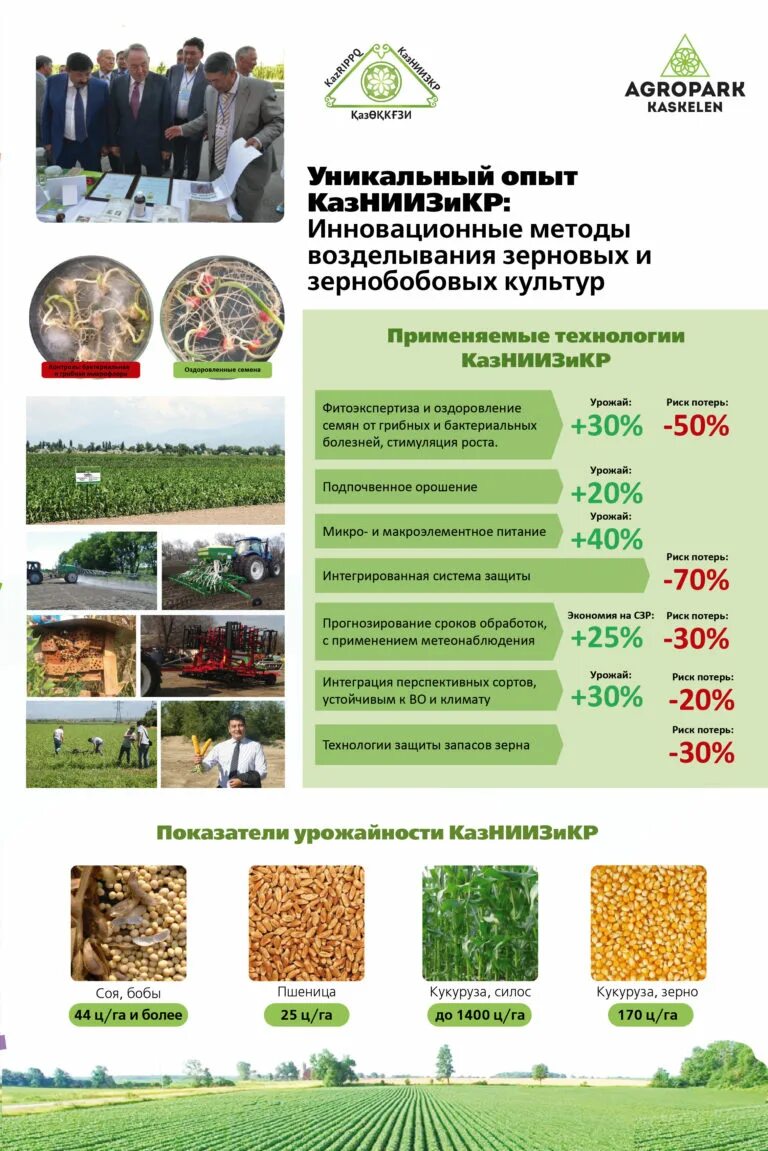 Режим работы агропарка сегодня. Агропарк. Агропарк Казань. Агропромышленный парк в России. Схема Агропарк Казань.