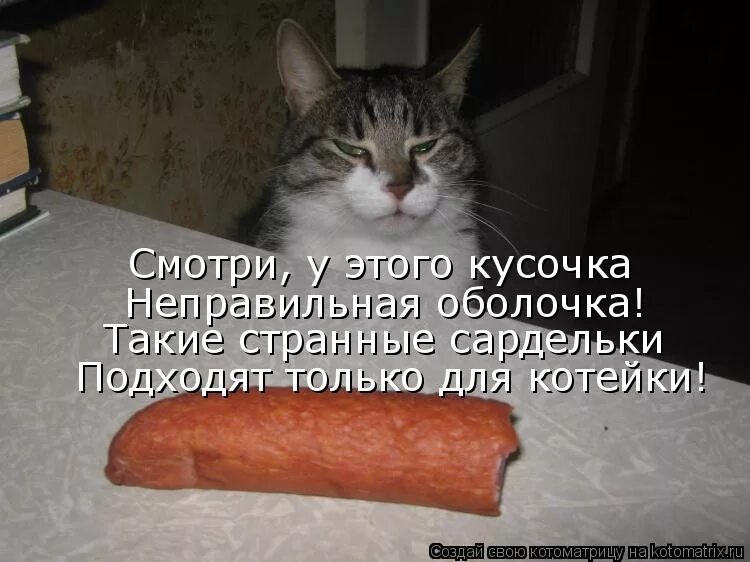 Меня не позвали мем. Уже поужинал. Торт коты. От меня самой не остается ни кусочка. Открытки я уезжаю.