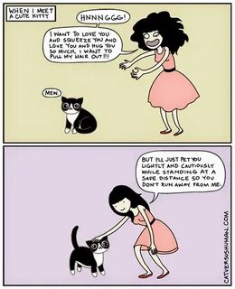 Where is kitten