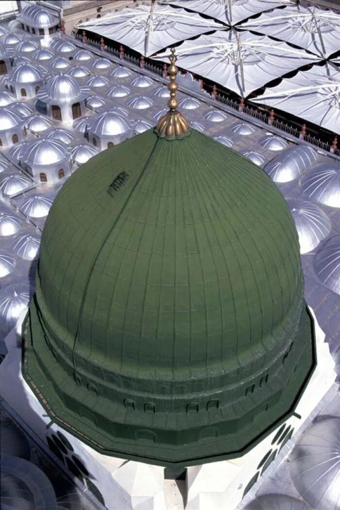 Шенбрунн пальмовая оранжерея. Казанский собор в санкт-петербурге купол. Купол мечети пророка мухаммеда. Зеленый купол петергур. Масджид ан-набави медина зеленый купол.