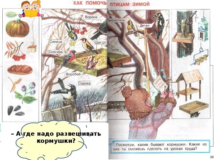 Как зимой помочь птицам 1 класс окружающий. Как зимой помочь птицам 1 класс окружающий