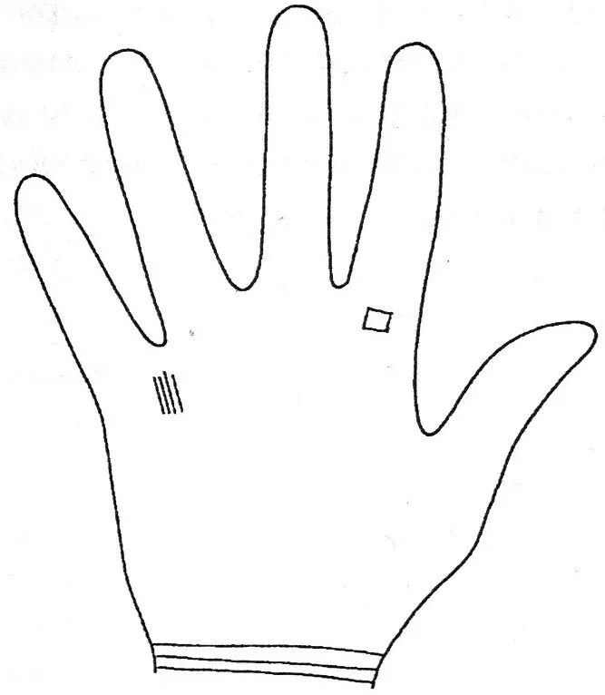 Матка по су джок. Бугры на ладони хиромантия. Схема ладони в хиромантии. Мерки ладони для варежек. Хиромантия что означают линии на ладони.