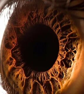 Eye hole