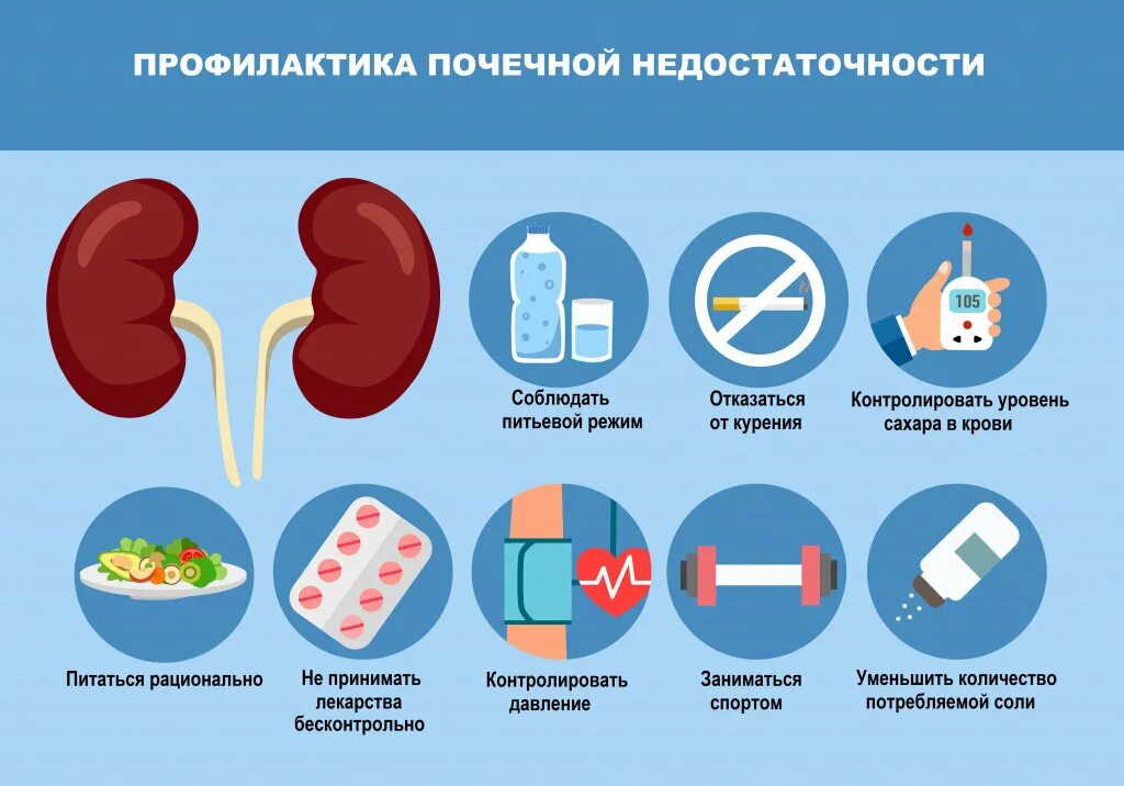 Профилактика ХПН. Профилактика почечной недостаточности. Профилактика болезней почек. Предупреждение заболеваний почек.