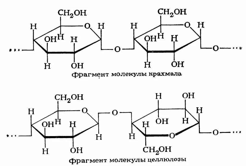 Глюкоза молекула полисахарида. Схема строения молекулы крахмала. Фрагмент строения крахмала. Биозный фрагмент молекулы целлюлозы. Строение молекулы крахмала.