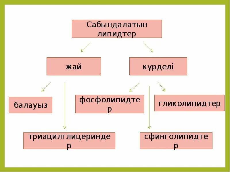 Липидтер. Липидтер презентация. Липидтер алмасуы биохимия. Липидтер деген не. Майлар классификация.