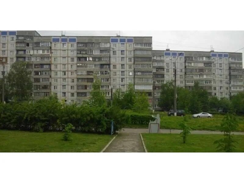 верхняя дуброва 9. верхняя дуброва д17. улица верхняя дуброва 9 владимир. дуб черешчатый ирта. верхняя дуброва 9.